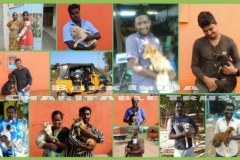 e58a7431-acd6-4ba6-a8ad-3d5eaa27f4f2