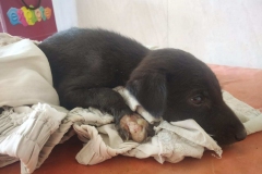 180af370-eb9b-4359-8155-1f6e6f3ce8ad