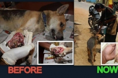 6f98174e-8c79-4c43-ae87-8ccda420b725