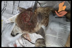 PicsArt_09-02-05.01.31