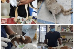 PicsArt_09-04-01.20.35