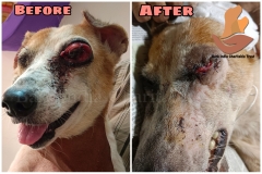 Picsart_22-10-04_09-21-58-5381