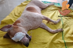 Picsart_22-10-04_09-26-05-7021