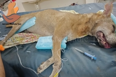 Picsart_22-10-20_09-10-01-7711