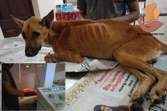 Picsart_22-10-21_09-11-38-0541