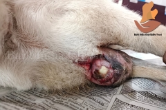 Picsart_22-11-05_09-24-21-4121