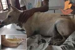 Picsart_22-11-24_11-25-57-6401