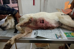 Picsart_22-11-27_08-57-29-3671