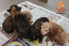 Picsart_22-12-05_10-01-08-9661