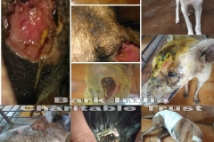 a6cb1e42-345c-4a9c-a39d-d7f098483c06