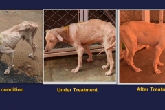 ab5f7920-b170-43d7-a939-5d13bc0641e0