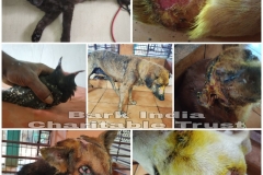 acf97897-57de-4699-9405-0cb4089f7b49