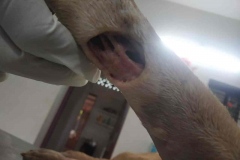 b207eb29-9bc7-47b5-93fb-44559f476866