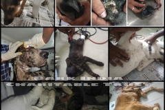 d0e431af-7c30-474a-89fc-9ce9d717bd76