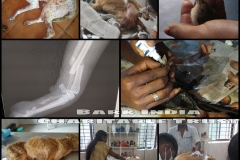 ffdc6776-4bff-439f-a7a6-b9aa07cf135b