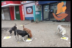 1_PicsArt_05-22-03.20.51