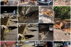 1_PicsArt_05-29-12.53.09