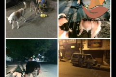 PicsArt_05-20-03.56.171