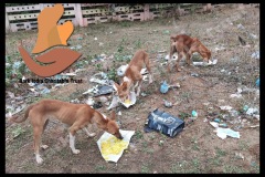 PicsArt_05-22-03.18.54