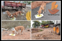 PicsArt_05-29-09.02.50