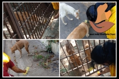 PicsArt_05-29-09.12.12