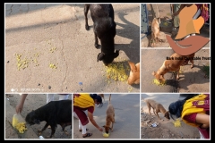 PicsArt_05-29-09.18.29