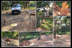 PicsArt_06-06-09.35.47