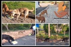 PicsArt_06-11-09.30.56