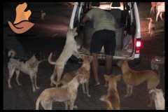 Picsart_22-08-07_12-04-07-818