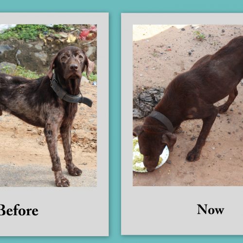 Mobile-Treatment1 Mobile Treatment