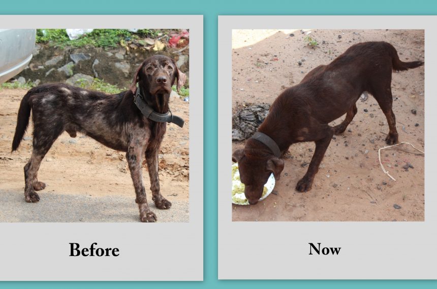 Mobile-Treatment1 Mobile Treatment