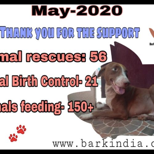 Animal Welfare activities- May 2020
