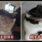 Wonderful recovery of rescued cat with cracked face- Stray cat rescue and treatment