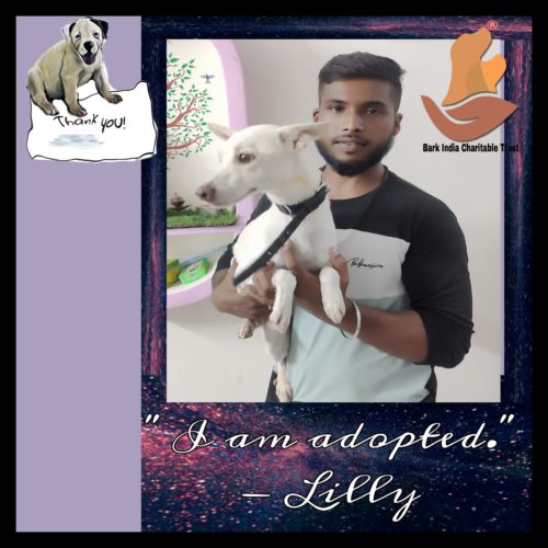 Abandoned Puppy got adopted to new happy home- Adopt , Don’t buy.