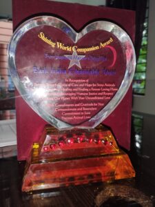 Shining World Compassion Award