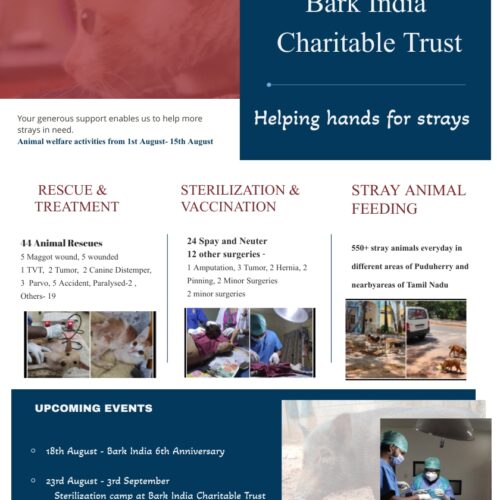 Animal welfare charity