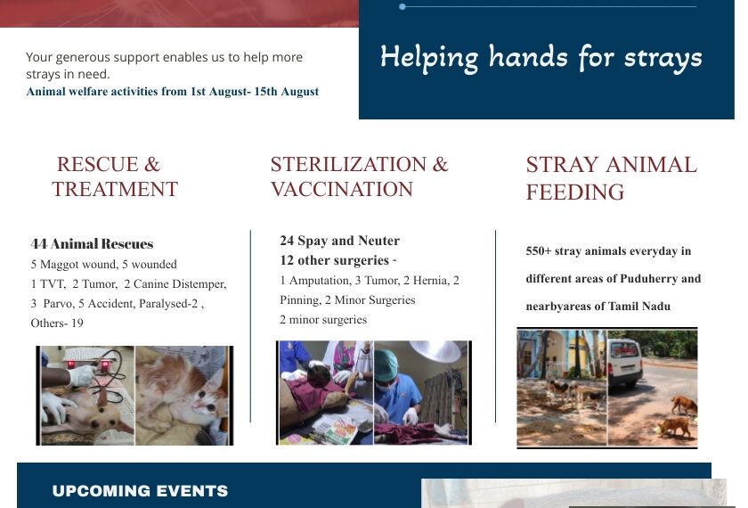 Animal welfare charity