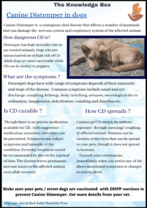 Canine Distemper in dogs