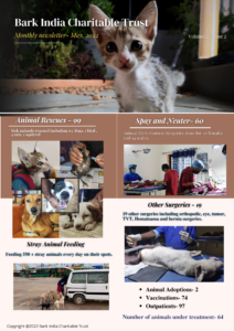 animal welfare Pondicherry