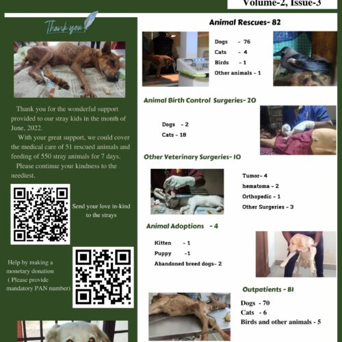 newsletter- animal welfare organisation
