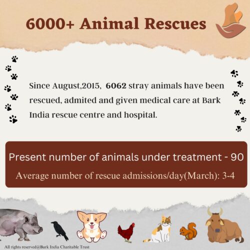 2 Help Animals in India- 6000+ Rescues
