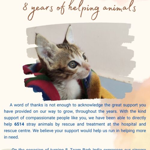 donate for animals 8 Years in Serving strays- Bark India, Pondicherry