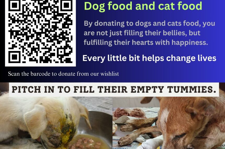 donate dog and cat food donate food for stray animals