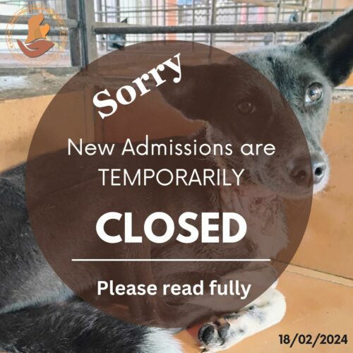 New Admissions are TEMPORARILY Help us serve the strays better