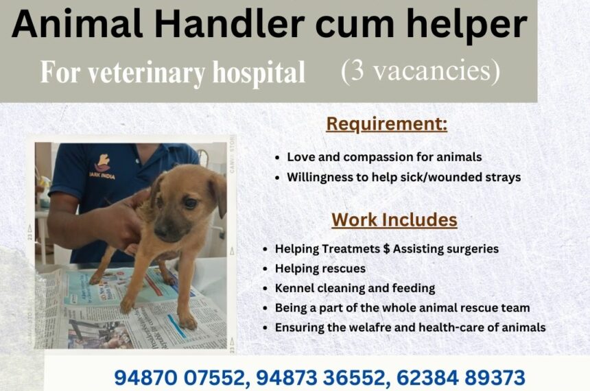 Staff wanted for animal rescue Organization- Pondicherry