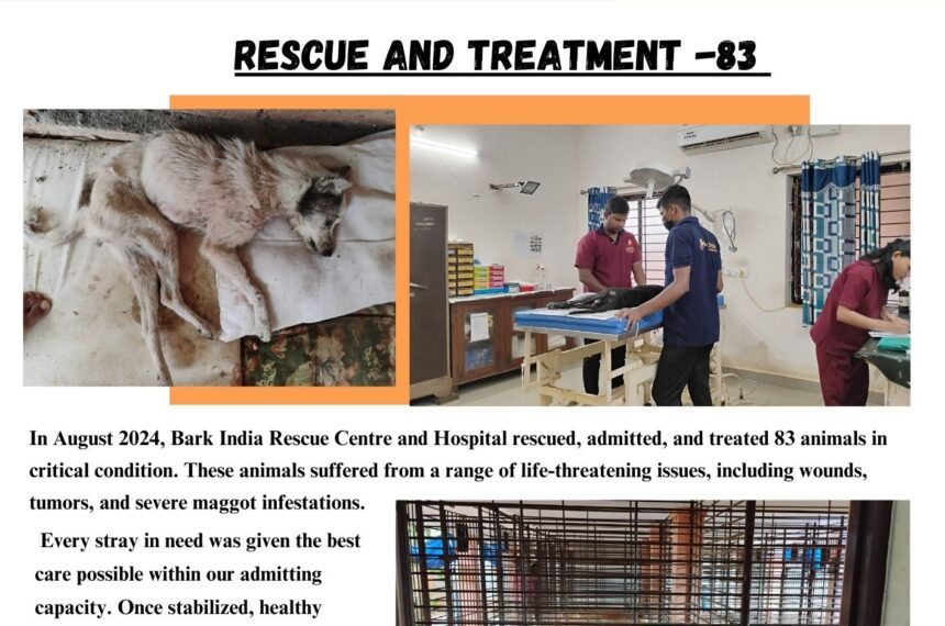 Animal welfare- September, 2024